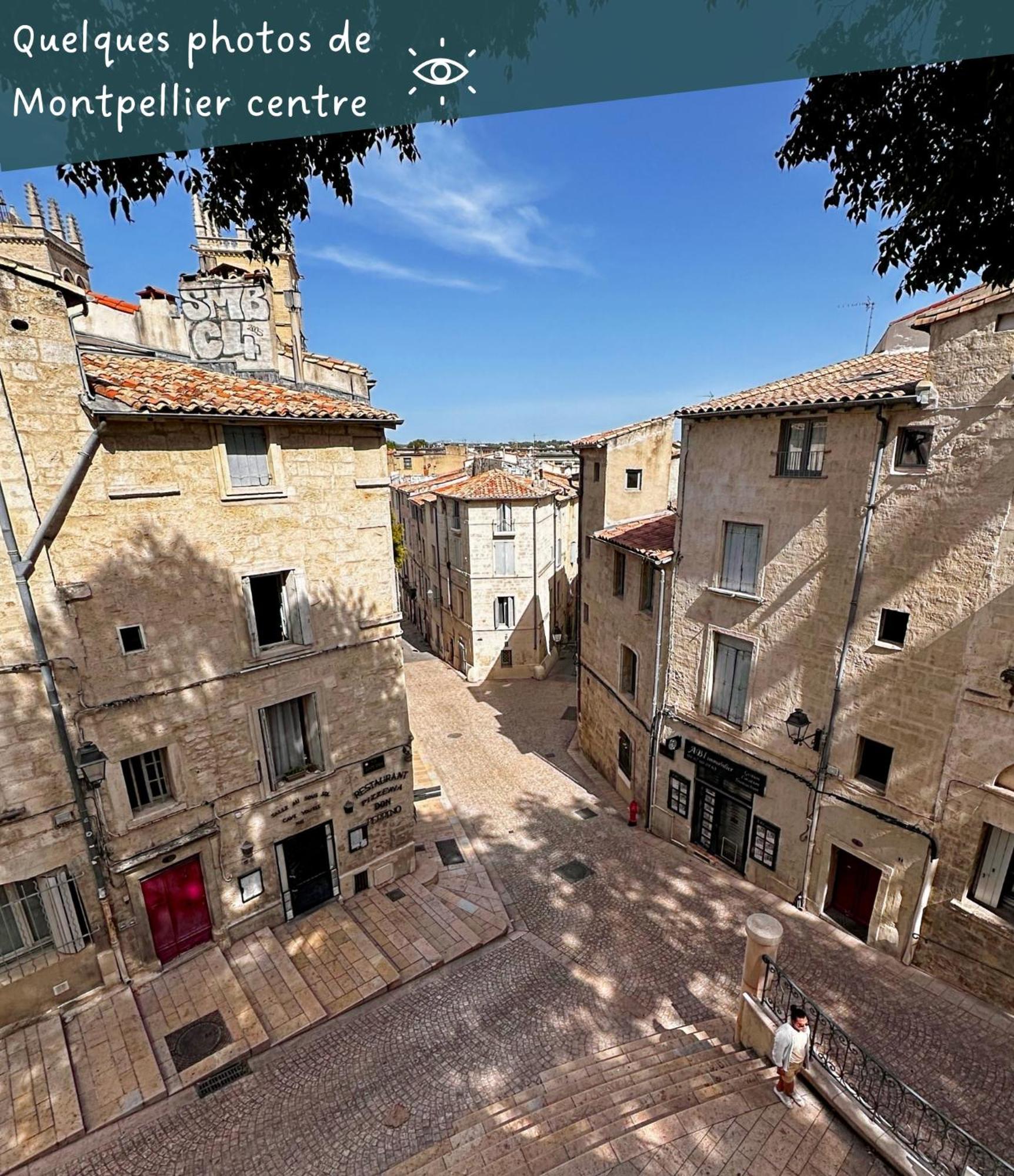 Appartement Entier Cosy Avec Balcon - Centre Montpellier Exterior foto