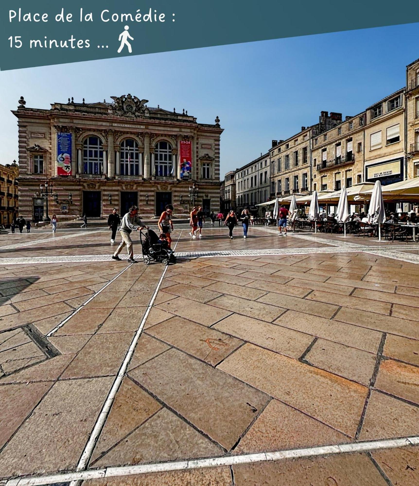 Appartement Entier Cosy Avec Balcon - Centre Montpellier Exterior foto
